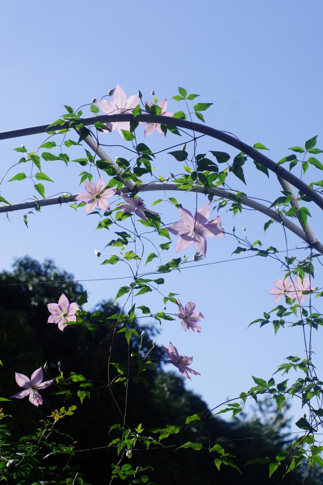 Hangzhou Jiuyueji Bed&Breakfast מראה חיצוני תמונה