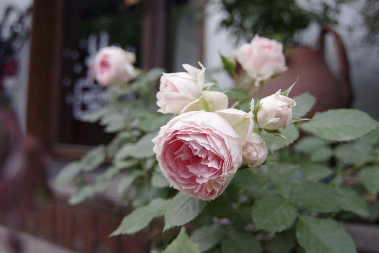 Hangzhou Jiuyueji Bed&Breakfast מראה חיצוני תמונה