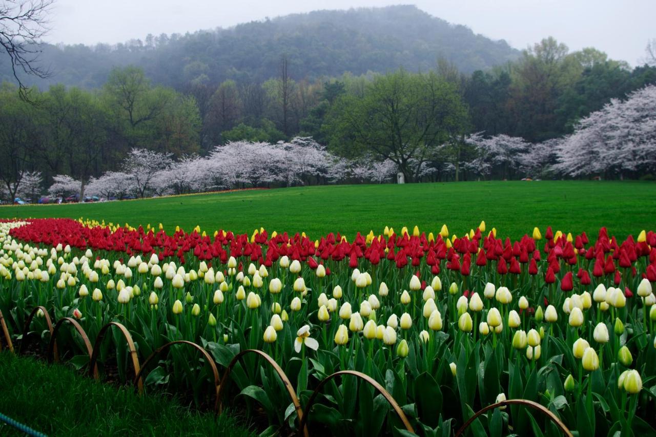 Hangzhou Jiuyueji Bed&Breakfast מראה חיצוני תמונה
